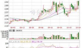 st华源最新爆料,揭秘公司内幕与未来走向！