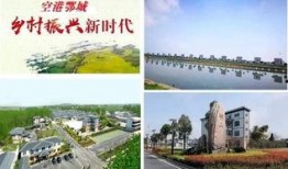 美丽田园爆料最新消息,揭秘行业新动态，带你走进田园新篇章