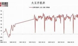 豆粕期货爆料最新消息,揭秘价格波动背后的神秘力量