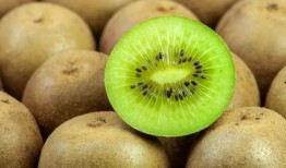 猕猴桃最新爆料视频大全,最新品种与种植技术大曝光