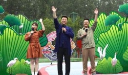 雅江网红爆料视频最新消息,揭秘网红村背后的故事