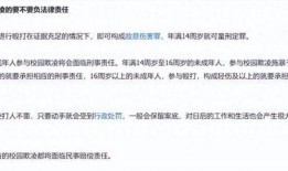 东湖爆料霸凌案件最新进展,受害者家长发声，警方介入调查深入”