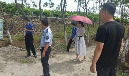 美丽田园爆料最新消息,揭秘行业新动态，带你走进田园新篇章