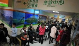 长沙小学爆料事件最新,揭开校园安全与管理的隐秘面纱