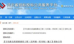 河北省最新爆料消息公布,揭秘重大事件背后真相