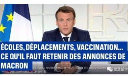 小马哥最新爆料,揭秘科技巨头背后的秘密与未来趋势