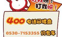 菏泽热点爆料新闻网最新,聚焦民生热点，解码城市变迁